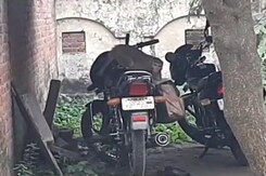 Watch: Monkey Steals Rs 1.5 Lakh Off A Bike In Uttar Pradesh Watch: Monkey Steals Rs 1.5 Lakh Off A Bike In Uttar Pradesh