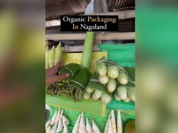 Go Plastic Free! Nagaland Minister Temjen Imna Shows 'Organic' Packaging