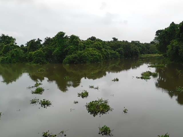 Kaziranga Flooded, 1 Lakh People In 13 Assam Districts Affected