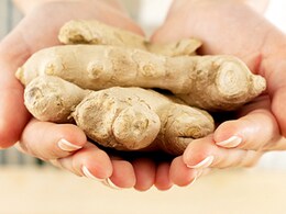 Enjoy Fresh Ginger Every Time. Viral Video Shows How To Grow Ginger At Home Enjoy Fresh Ginger Every Time. Viral Video Shows How To Grow Ginger At Home