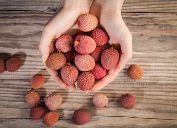 Can You Eat Litchi On A Weight Loss Diet? Here Is What Experts Say Can You Eat Litchi On A Weight Loss Diet? Here Is What Experts Say