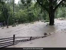 Over 67,000 People In 17 Districts Of Assam Affected By Flood Over 67,000 People In 17 Districts Of Assam Affected By Flood