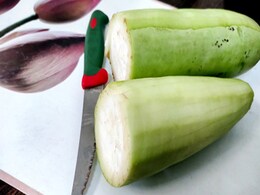 इन 2 तरीकों से खाना शुरू कर दीजिए घीया, बाहर लटकती पेट की चर्बी होने लगेगी कम  इन 2 तरीकों से खाना शुरू कर दीजिए घीया, बाहर लटकती पेट की चर्बी होने लगेगी कम