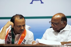 What Sharad Pawar Said On Ajit Pawar's "Not Interested" In Fighting Polls Remark What Sharad Pawar Said On Ajit Pawar's "Not Interested" In Fighting Polls Remark