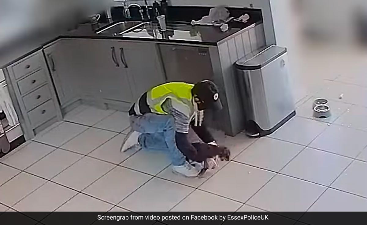 Man Caught On Camera Stealing Terrified Dachshund Named Twiglet In The UK