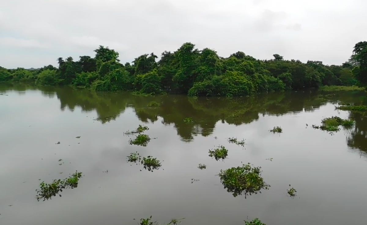 Kaziranga Flooded, 1 Lakh People In 13 Assam Districts Affected