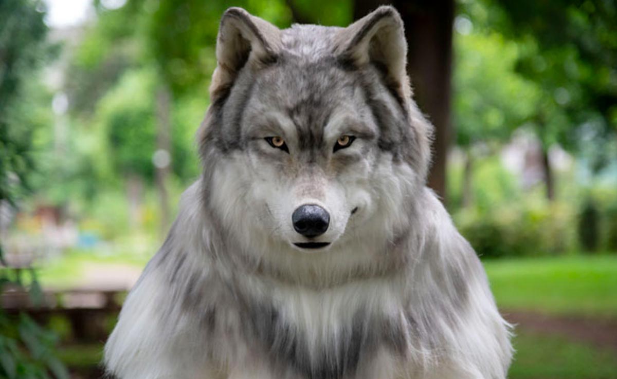 शख्स ने 19 लाख रुपये इसलिए खर्च कर दिए ताकि वो भेड़िया जैसा दिख सके, तस्वीरें हो रही हैं वायरल