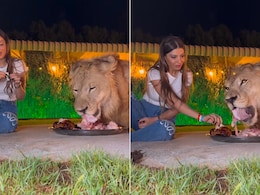 Wait, What! Lady Shares Unbelievable Meal With Majestic Lion - Video Goes Viral Wait, What! Lady Shares Unbelievable Meal With Majestic Lion - Video Goes Viral