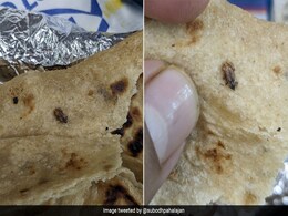 Cockroach Found in Meal Served on Vande Bharat Train, IRCTC Responds Cockroach Found in Meal Served on Vande Bharat Train, IRCTC Responds