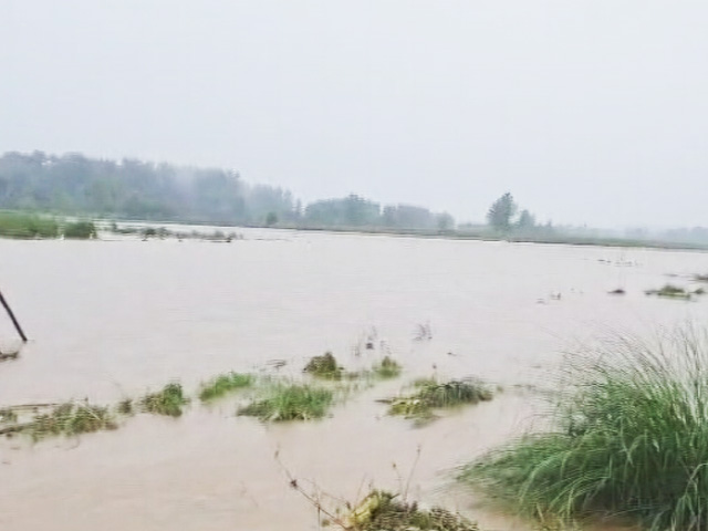 Ground Report: Himachal Rivers In Spate Amid Heavy Rain