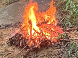 अंधविश्वास के चलते किया जा रहा है बाघों का शिकार! मध्य प्रदेश में इस साल अब तक 26 बाघों की मौत  अंधविश्वास के चलते किया जा रहा है बाघों का शिकार! मध्य प्रदेश में इस साल अब तक 26 बाघों की मौत