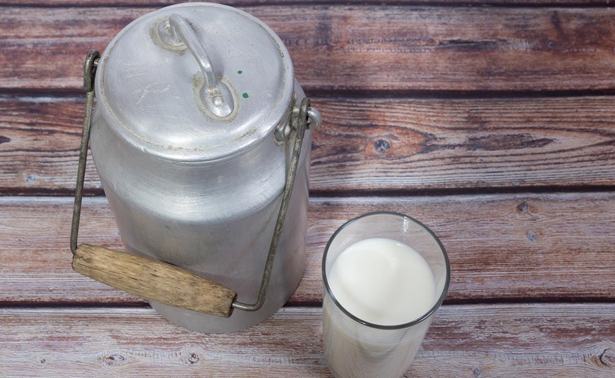 Food Regulator Asks States To Launch Drive Against Adulterated Milk Products