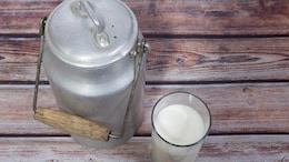 Food Regulator Asks States To Launch Drive Against Adulterated Milk Products