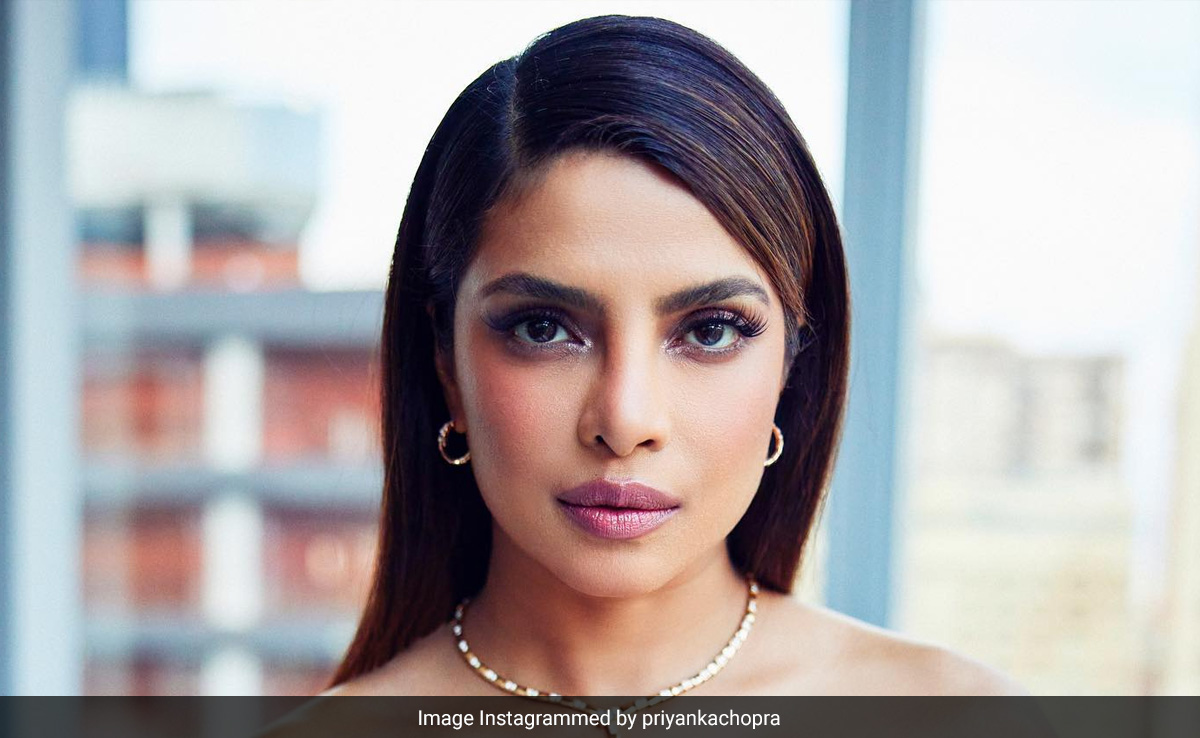 What Priyanka Chopra, A SAG Union Member, Posted About The Hollywood Strike