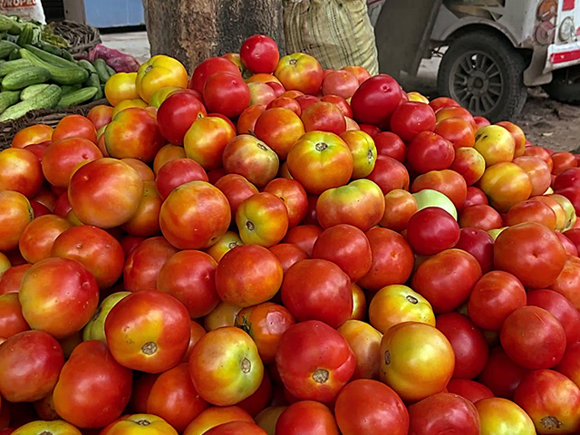 टमाटर की कीमतें घटेंगी, महाराष्ट्र-एमपी से आएगी नई फसल : सरकार