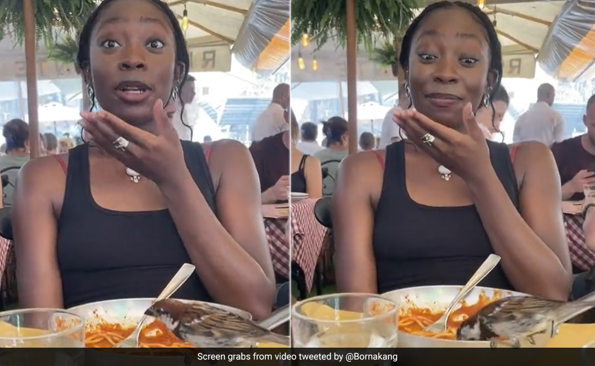 देखती रह गई महिला, चिड़िया चुग गई नूडल्स, रेस्टोरेंट में प्लेट पर बैठकर मसालेदार पास्ता कर गई चट