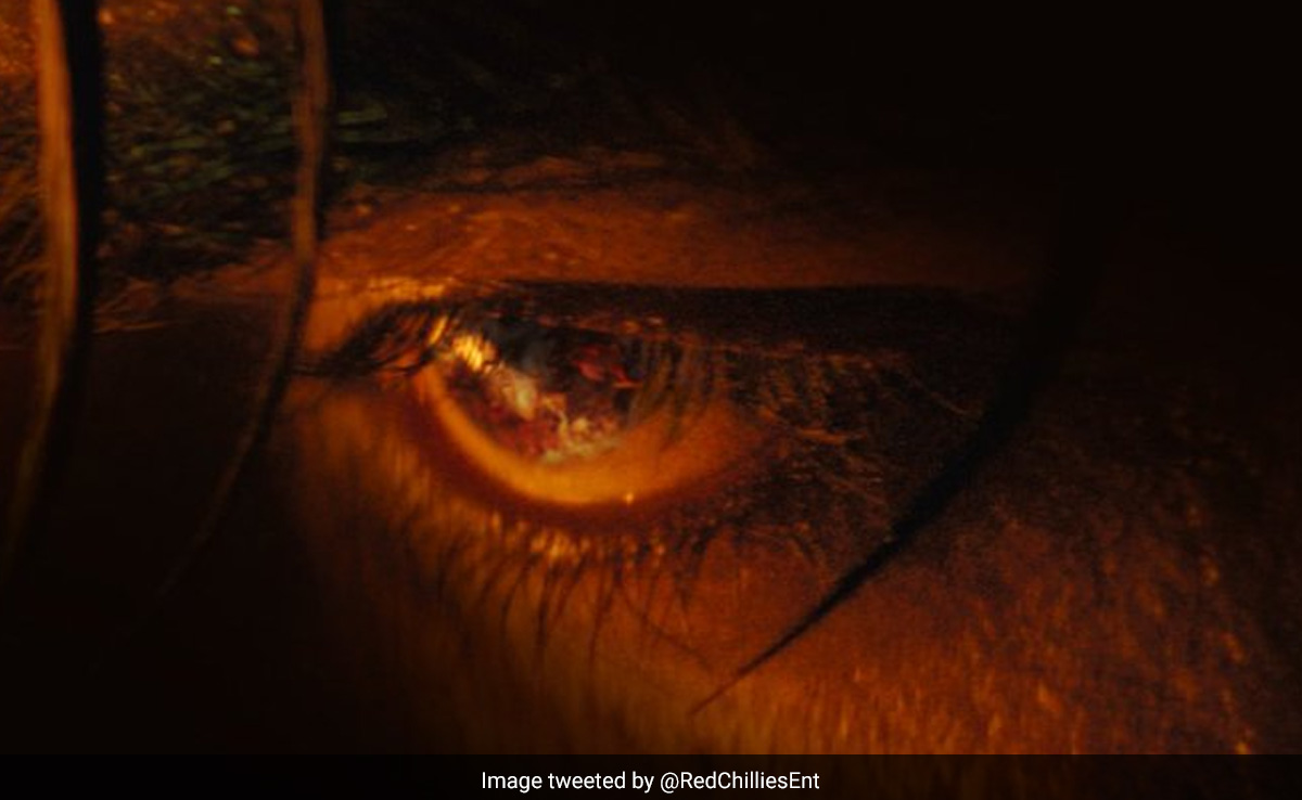 Viral: <i>Jawan</i> Through The Eyes Of... Vijay Sethupathi? The Internet Can't Wait