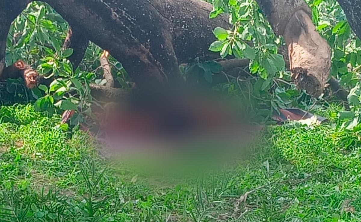 कटनी: पेड़ की छांव में बच्चे को दूध पिला रही महिला पर गिरी टहनी, मां-बच्चे की मौत