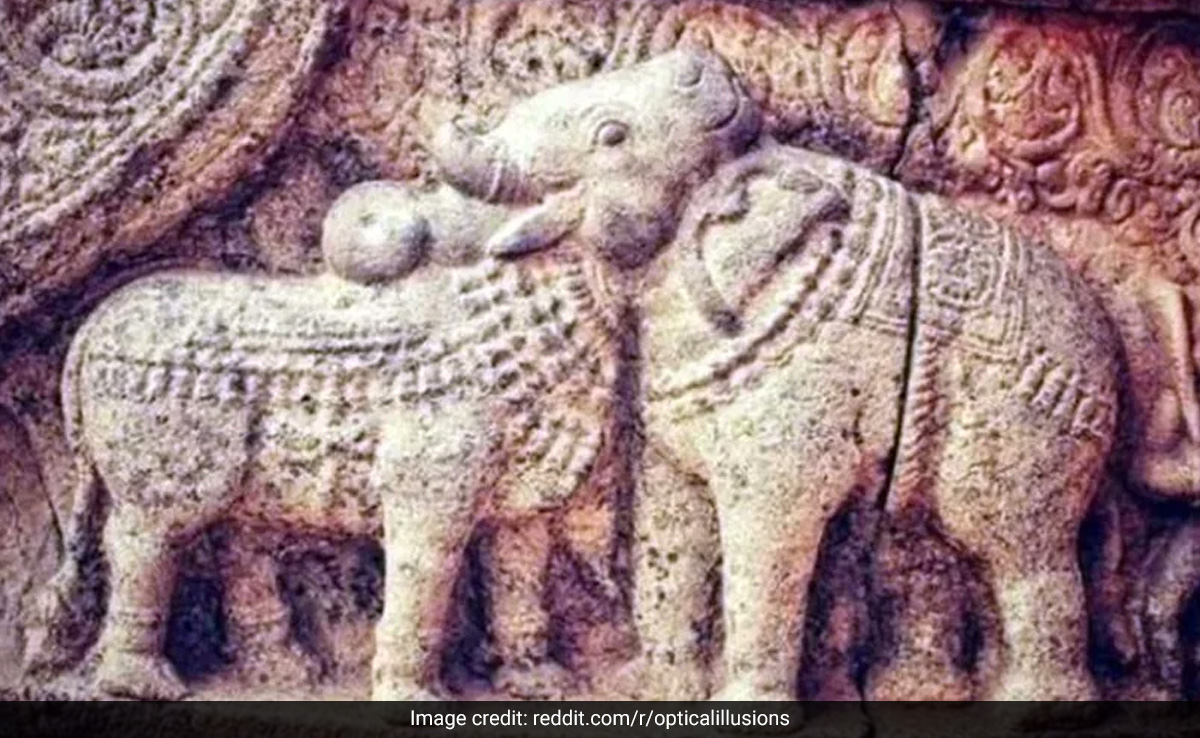 इस तस्वीर में आपको कौन सा जानवर दिखाई दे रहा है, बैल या हाथी? जवाब देने में चकरा जाएगा दिमाग