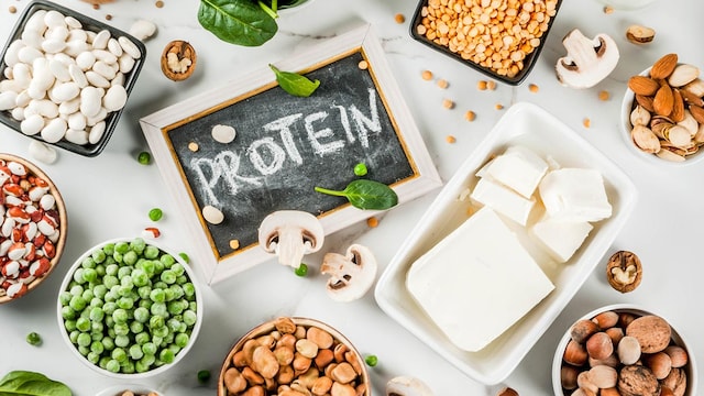 Protein is the building block of the human body