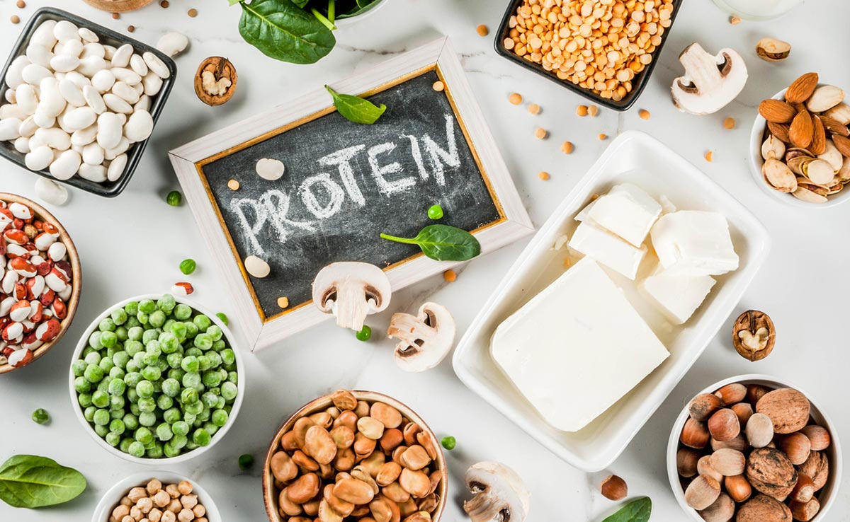 Protein is the building block of the human body