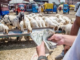 India's Middle-Class To Expand, "Destitute" Class To Halve By 2031: Study India's Middle-Class To Expand, "Destitute" Class To Halve By 2031: Study