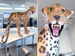 "Details Are Mind-Blowing": Life-Sized Chocolate Leopard Sculpture Goes Viral "Details Are Mind-Blowing": Life-Sized Chocolate Leopard Sculpture Goes Viral