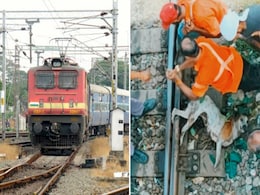 रेल की पटरी में फंसा कुत्ते का पैर, सामने से आ रही थी ट्रेन, फिर जो हुआ.. रेल की पटरी में फंसा कुत्ते का पैर, सामने से आ रही थी ट्रेन, फिर जो हुआ..