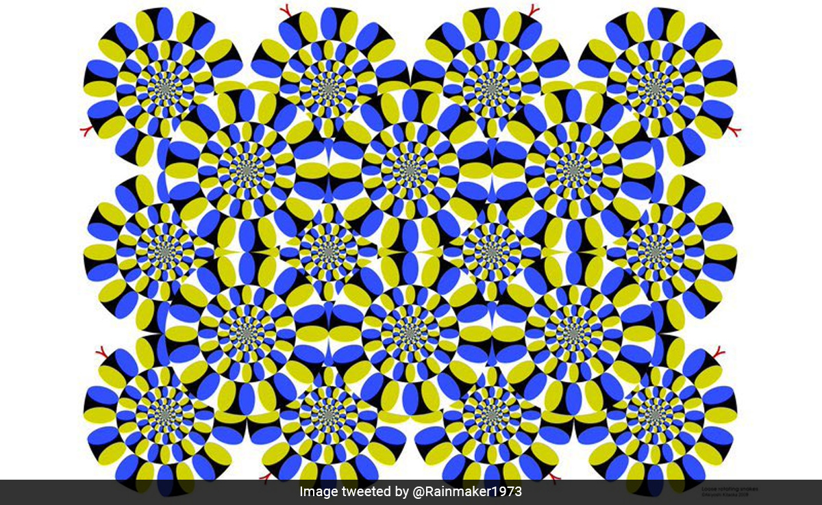 आंख झपकते ही हिलने लगते हैं ये सर्किल, रुकते ही दे देते हैं नजरों को धोखा, जानें क्या है ये पहेली