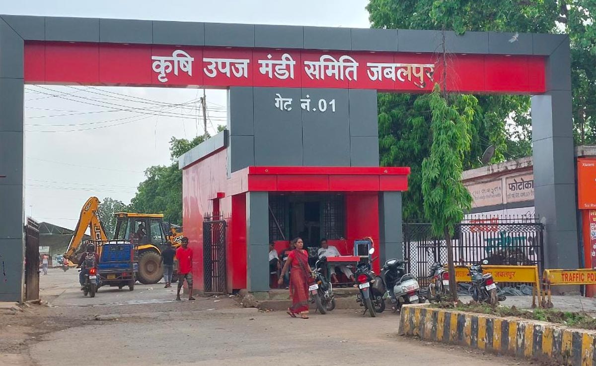 जबलपुर में समर्थन मूल्य पर मूंग-उड़द बेचने में किसान नहीं दिखा रहे दिलचस्पी
