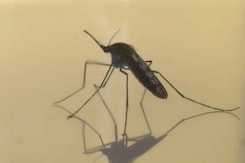 Expert Talk: How To Protect Yourself From Infections During Monsoon Expert Talk: How To Protect Yourself From Infections During Monsoon