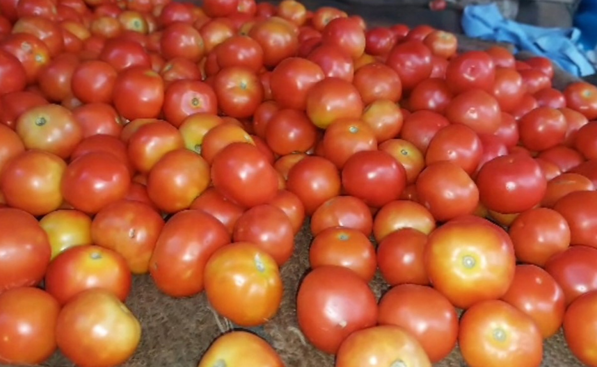 This Pune Farmer Has Made A Profit Of Over Rs 2 Crore Amid Tomato Crisis