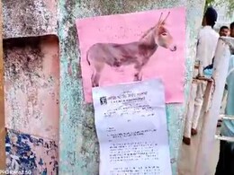 अनोखा विरोध :  घंटों इंतजार के बाद जब नहीं मिले कलेक्टर तो गधे को सौंप दिया ज्ञापन अनोखा विरोध :  घंटों इंतजार के बाद जब नहीं मिले कलेक्टर तो गधे को सौंप दिया ज्ञापन