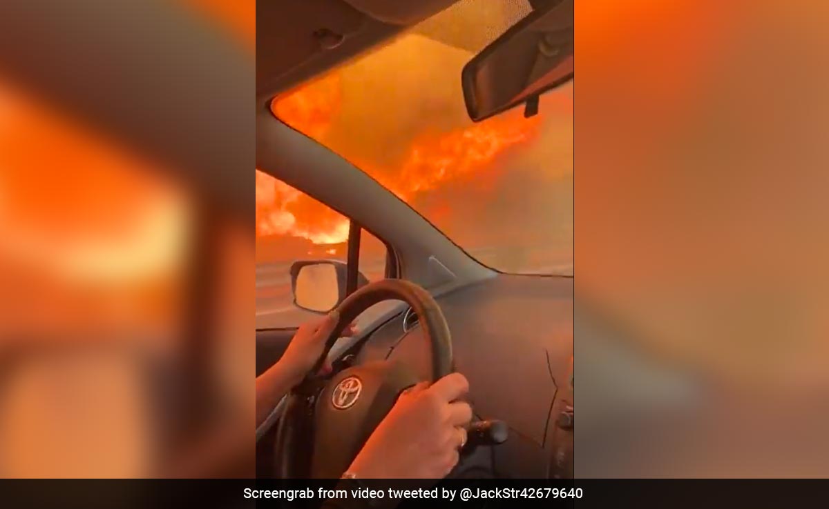 Terrifying Video Shows Woman's Attempt To Flee Deadly Wildfire In Italy's Sicily