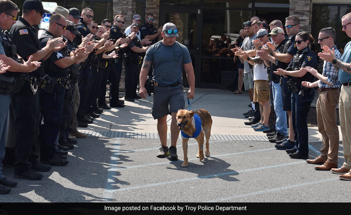 US Police Dog Who Was Stabbed 12 Times On Duty Makes "Successful Recovery"