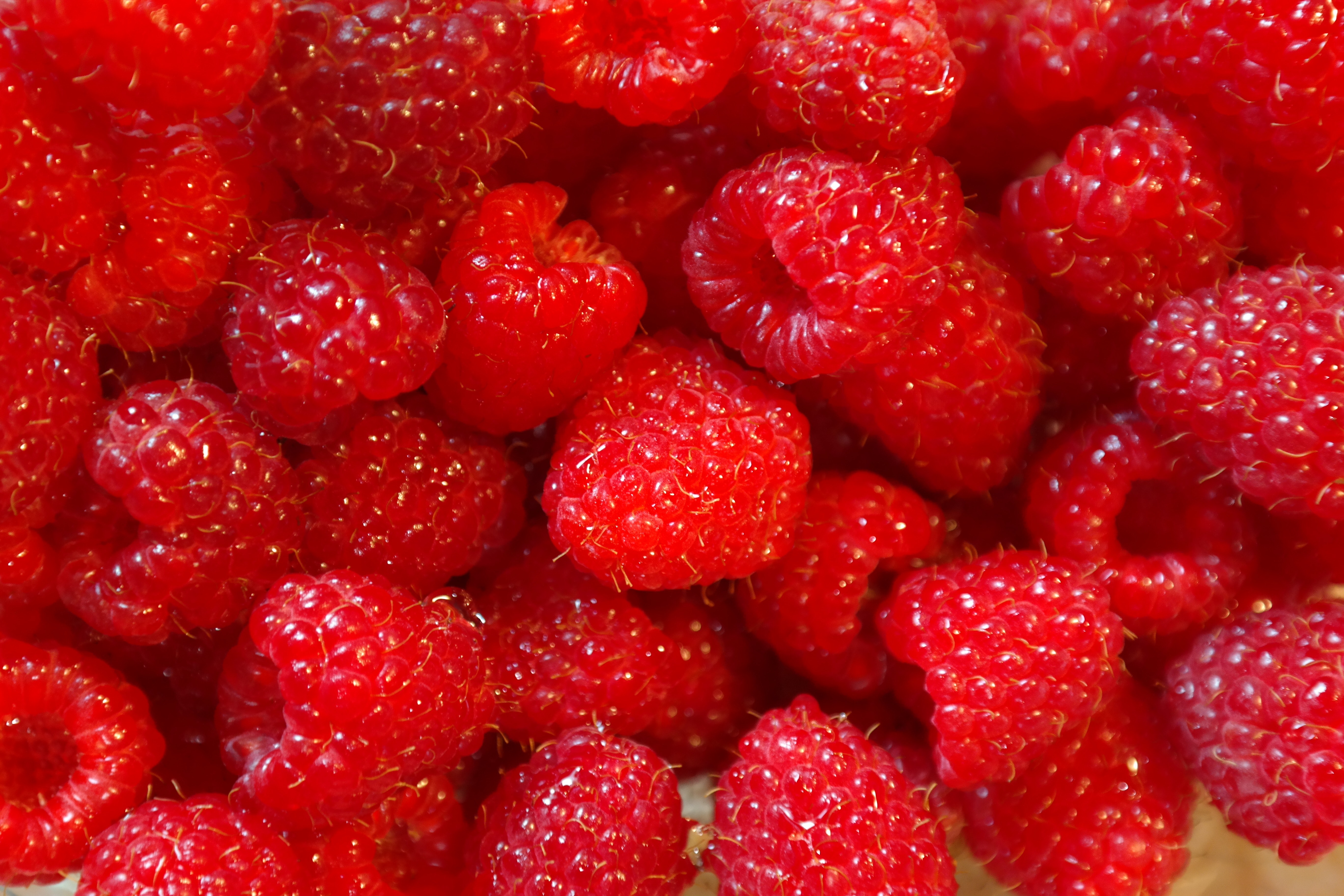 Raspberries contain various compounds that support brain health and cognitive function