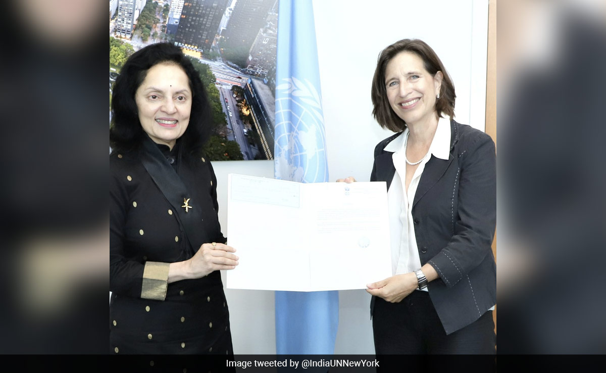 India Contributes $1 Million To UN For Promoting Use Of Hindi Language