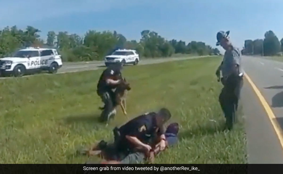 Video: Black Unarmed Man Attacked By Police Dog In US Despite Surrendering