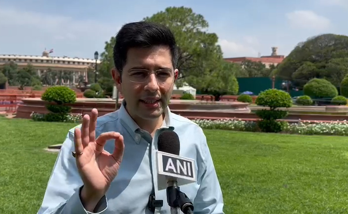 Introducing Delhi Ordinance "Impermissible", Says AAP MP, Lists 3 Reasons