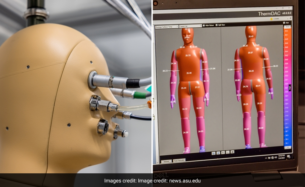 Robot That Can Breathe And Sweat Helps Scientists Understand Impact Of Soaring Heat