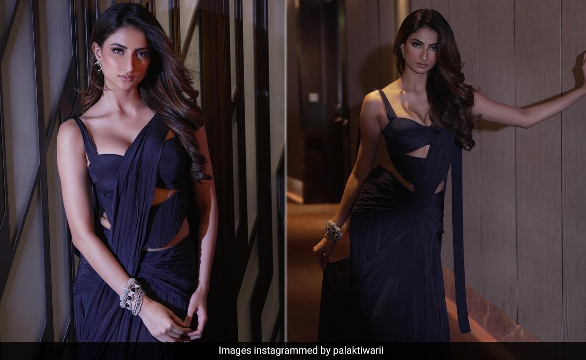 Palak Tiwari Gives A Modern Twist To Ethnic Dressing With A Corset Blouse And A Pre-Drape Saree