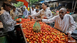 Tomato Rates Soar To Rs 100/kg In Delhi As Rains Hit Supply