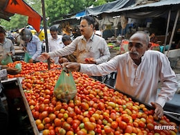 Tomato Rates Soar To Rs 100/kg In Delhi As Rains Hit Supply