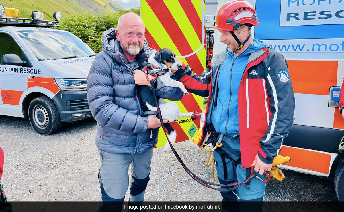 Jack Russell Miraculously Survives After Falling Down One Of The UK's Largest Waterfalls