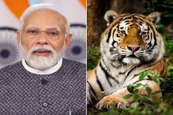 At G20 Climate Meet, PM Modi's Big Praise For 'Project Tiger' At G20 Climate Meet, PM Modi's Big Praise For 'Project Tiger'