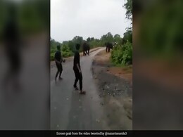 सड़क पार कर रहे हाथियों के झुंड के पास जाकर शोर मचाने लगे कुछ लोग, फिर जो हुआ, आपको गुस्सा आ जाएगा सड़क पार कर रहे हाथियों के झुंड के पास जाकर शोर मचाने लगे कुछ लोग, फिर जो हुआ, आपको गुस्सा आ जाएगा