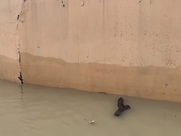 Watch: How Much Yamuna Water Level Has Fallen Watch: How Much Yamuna Water Level Has Fallen