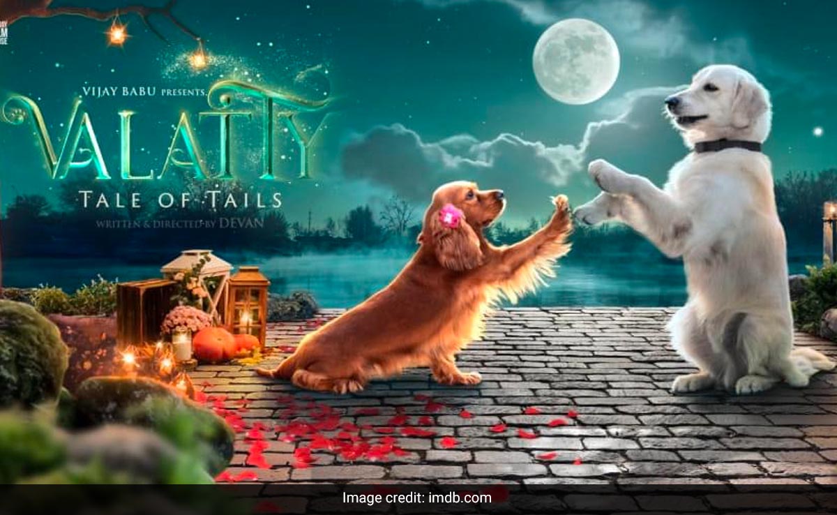 'Valatty - Tale Of Tails': A Unique Love Story Of 2 Dogs