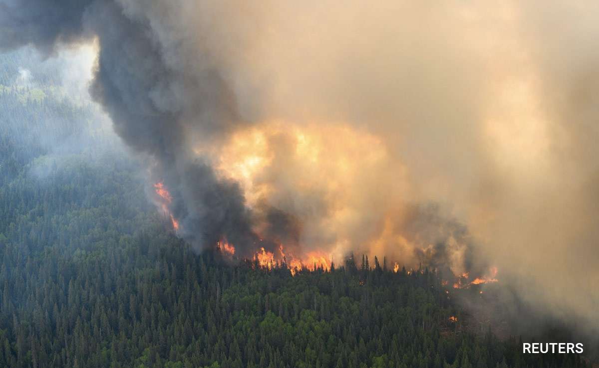 World Hits Record Land, Sea Temperatures As Climate Change Fuels Extremes