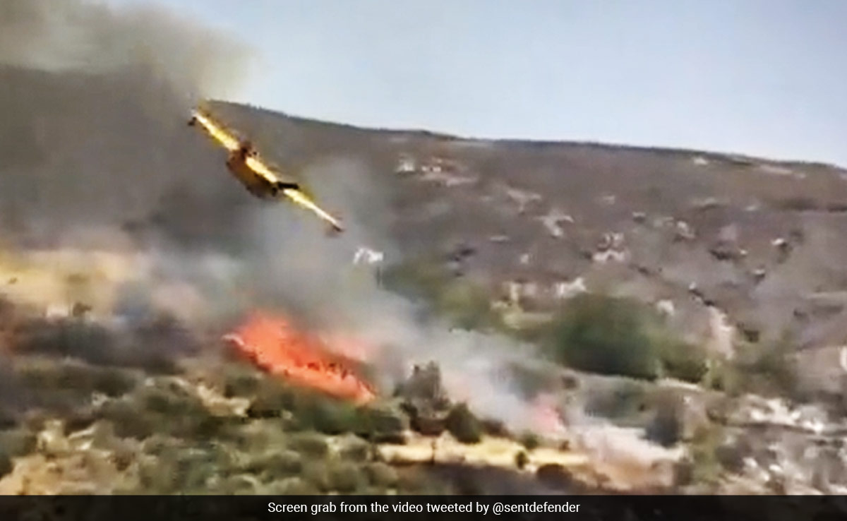 Video: Firefighting Plane's Wing Clips Tree, Crashes Seconds Later